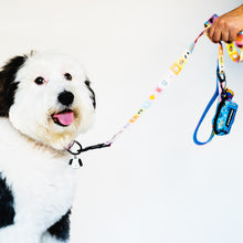 Load image into Gallery viewer, Happy Walking Leash