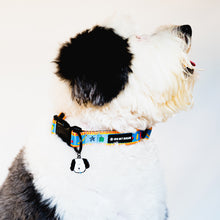 Load image into Gallery viewer, Dancing Fruits Collar