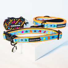 Load image into Gallery viewer, Dancing Fruits Leash, Collar, & Poop Bag Holder Set