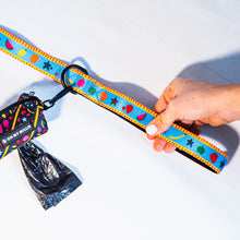 Load image into Gallery viewer, Dancing Fruits Leash, Collar, & Poop Bag Holder Set