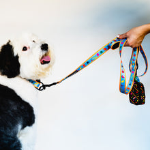 Load image into Gallery viewer, Dancing Fruits Poop Bag Holder + Leash Set