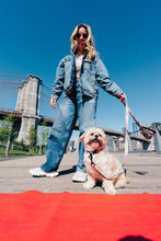 Load image into Gallery viewer, Dancing Fruits Poop Bag Holder + Leash Set