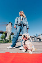 Load image into Gallery viewer, Dancing Fruits Leash, Collar, & Poop Bag Holder Set