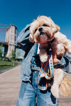 Load image into Gallery viewer, Dancing Fruits Leash