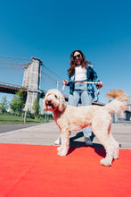 Load image into Gallery viewer, Happy Walking Leash