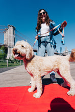 Load image into Gallery viewer, Happy Walking Poop Bag Holder + Leash Set