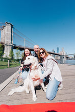 Load image into Gallery viewer, Happy Walking Poop Bag Holder + Leash Set