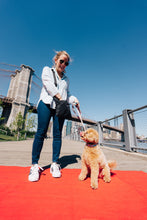 Load image into Gallery viewer, Dancing Fruits Collar