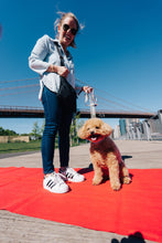 Load image into Gallery viewer, Happy Walking Leash, Collar, & Poop Bag Holder Set