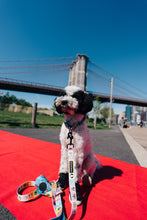 Load image into Gallery viewer, Happy Walking Leash
