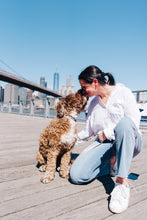 Load image into Gallery viewer, Dancing Fruits Collar