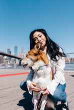 Load image into Gallery viewer, Happy Walking Collar