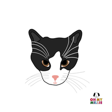 Load image into Gallery viewer, Custom Pet Coasters