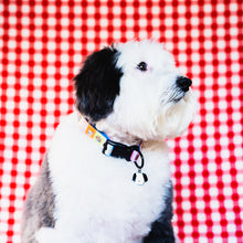 Load image into Gallery viewer, Happy Walking Collar