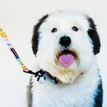 Load image into Gallery viewer, Happy Walking Collar