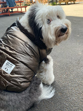 Load image into Gallery viewer, Pet Puffer Jacket
